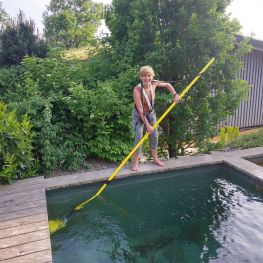Schwimmteich Pflege