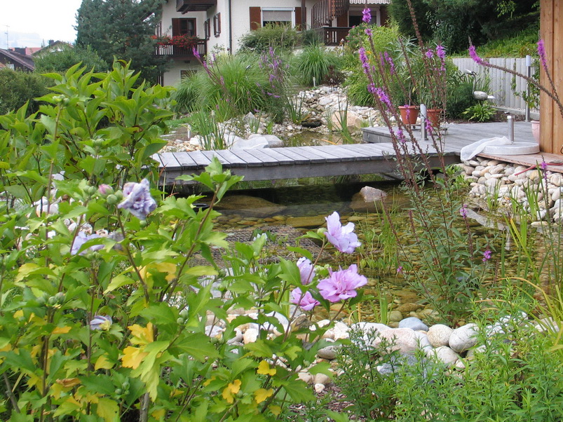TeicheBiotopeGartenanlage GartengestaltungGartenbauReischl